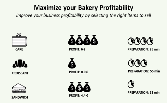 Maximize your Business Profitability with Python